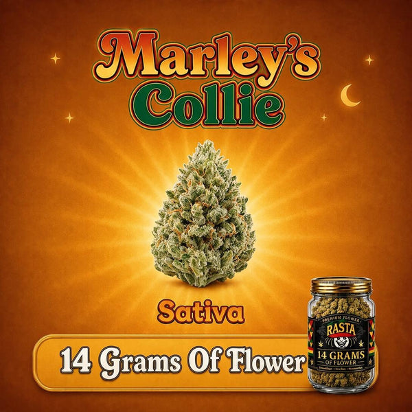 Marley’s Collie