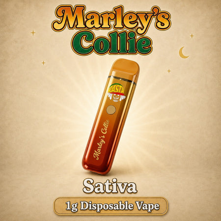 Marley’s Collie