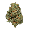 Flower (14g)Marley’s Collie