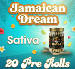 20 Pack of Rasta Rolls