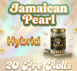 20 Pack of Rasta Rolls