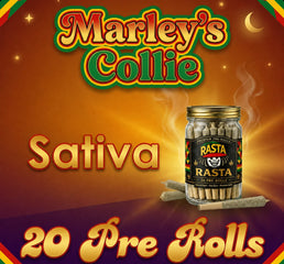 20 Pack of Rasta Rolls