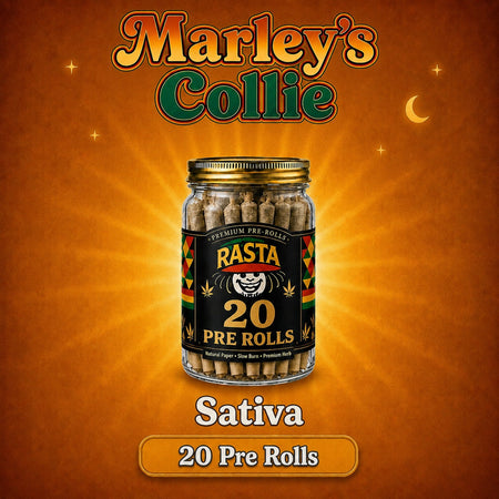 Marley’s Collie